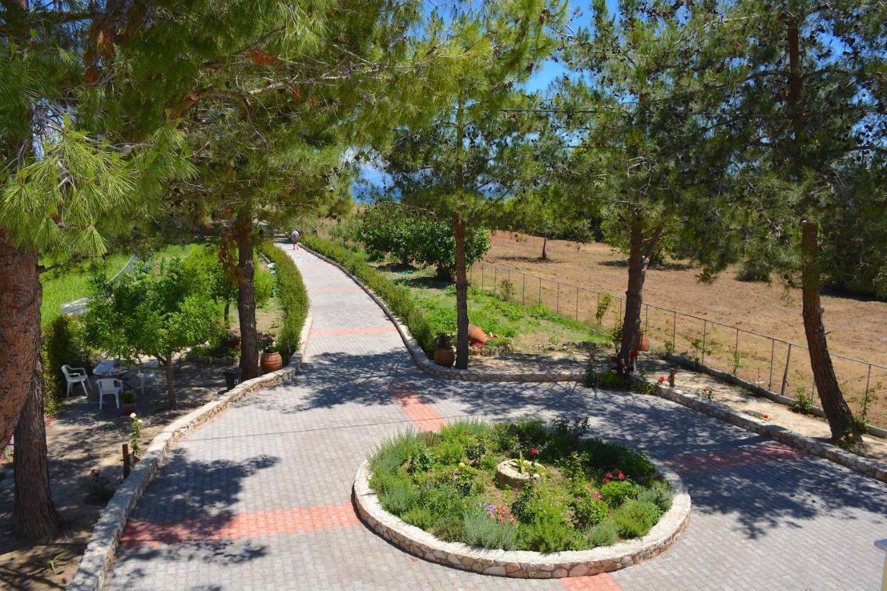 Melíkia Alexandra Apartments מראה חיצוני תמונה