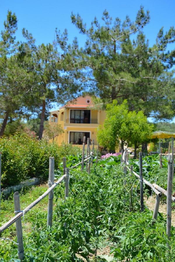 Melíkia Alexandra Apartments מראה חיצוני תמונה