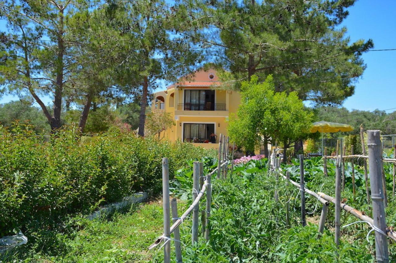 Melíkia Alexandra Apartments מראה חיצוני תמונה
